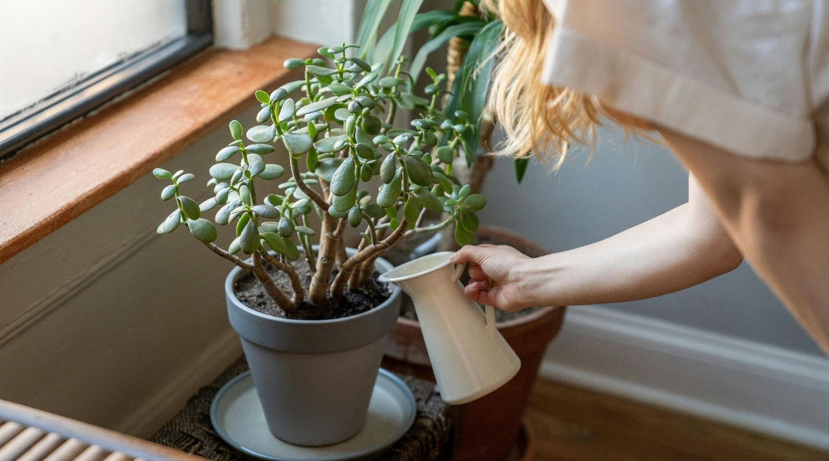Tiny Actions: The Science-Backed Way to Change When You Feel Too Overwhelmed to Start